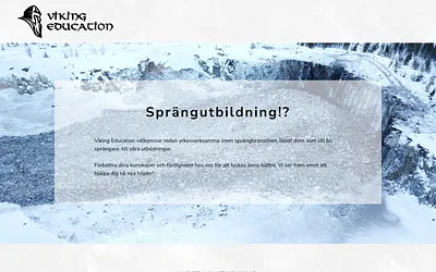 vikingeducation.se snapshot