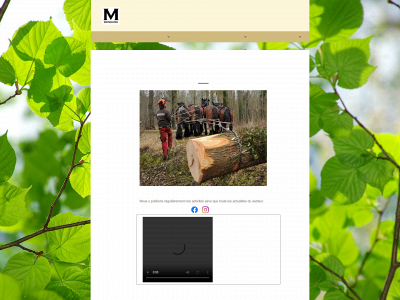meneurs.be snapshot