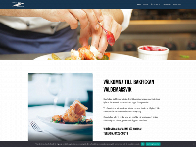 bakfickanvaldemarsvik.se snapshot