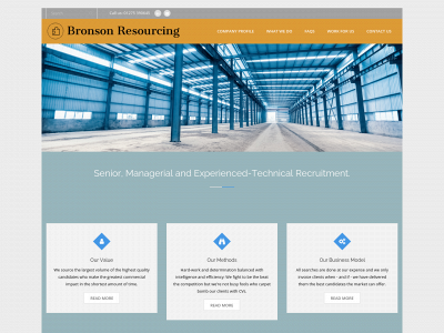 bronsonresourcing.com snapshot