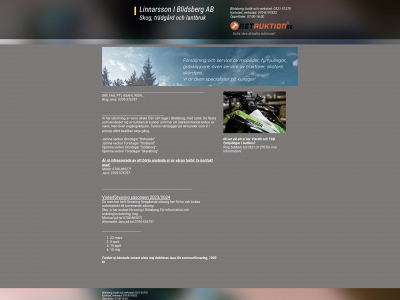 linnab.se snapshot