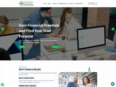 phoenix-equitypartners.com snapshot