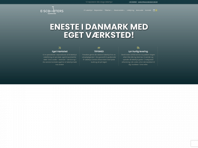 escooterworkshop.com snapshot