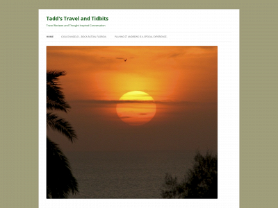 taddstravelandtidbits.com snapshot