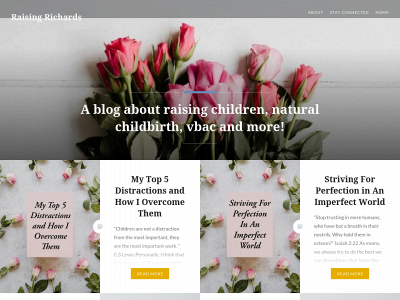 raisingrichards.com snapshot
