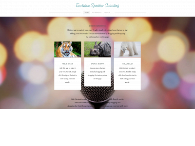 evolutionspeakercoaching.weebly.com snapshot