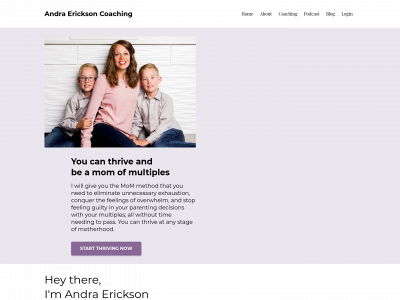 andraerickson.com snapshot