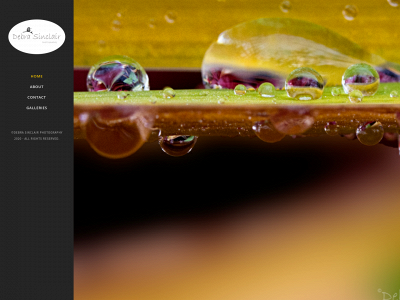 debrasinclairphotography.ca snapshot