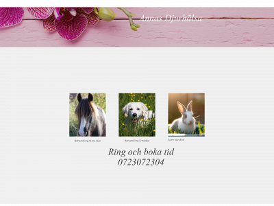 annas-djurhaelsa.se snapshot