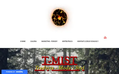 t-mist.weebly.com snapshot