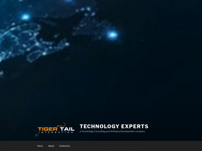ttintegration.com snapshot
