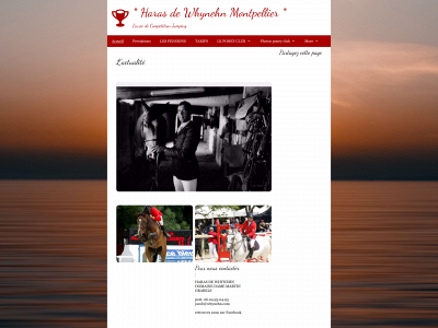 whynehn.fr snapshot