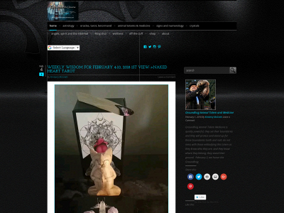 expressionsoftheuniverse.com snapshot