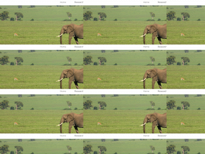 wildliferesearch.co.uk snapshot