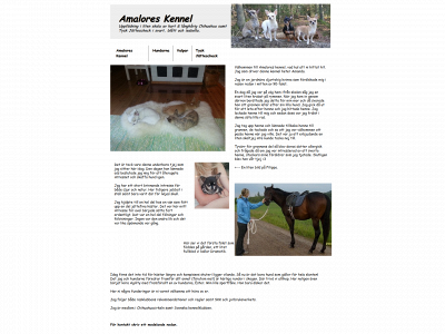 amalores.se snapshot