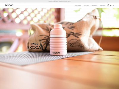 ekocat.com snapshot