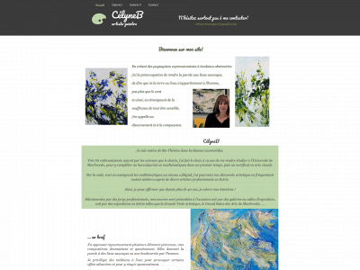 celyneb.com snapshot