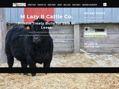 mlazyb.com snapshot