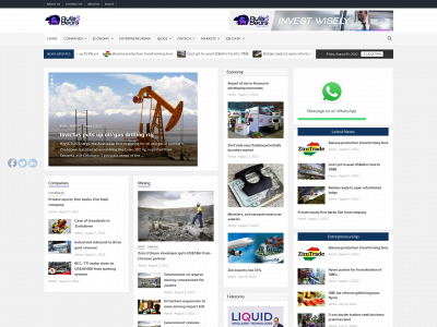bullszimbabwe.com snapshot