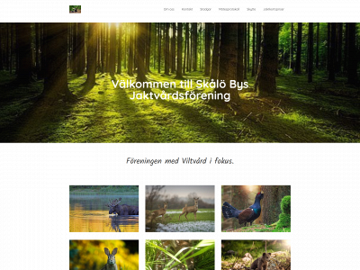 skalojvf.se snapshot