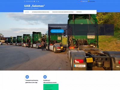 salemas.lt snapshot