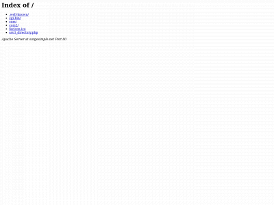surgesimple.net snapshot