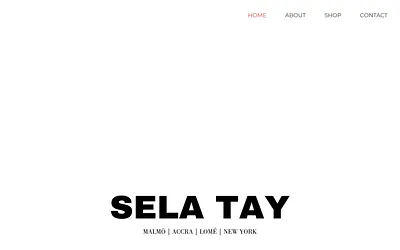 selatay.com snapshot