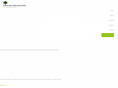 syracusetreedoctors.com snapshot