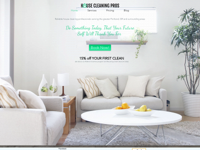 thehousecleaningpros.com snapshot