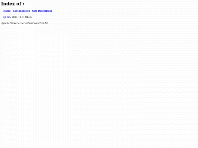 serve2lead.com snapshot