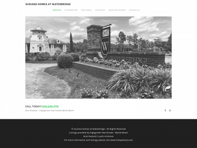 www.npaolozzi.com snapshot