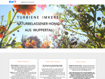 turbiene.online snapshot