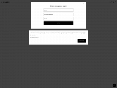 www.silbonshop.com snapshot