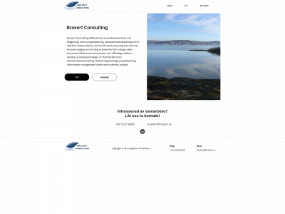 bravert.se snapshot