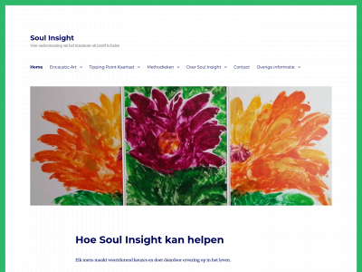 soulinsight.nl snapshot