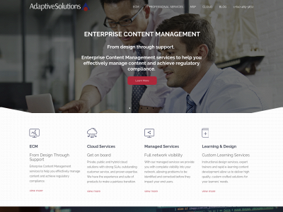adaptivesolutions.com snapshot