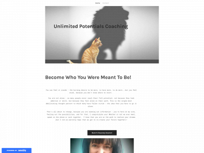www.unlimitedpotentialscoaching.org snapshot