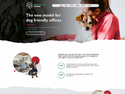 theconnectedcanine.com snapshot