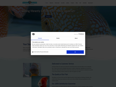 discusdirectonline.com snapshot