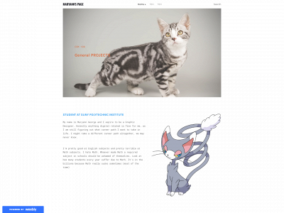 maryanncom108.weebly.com snapshot