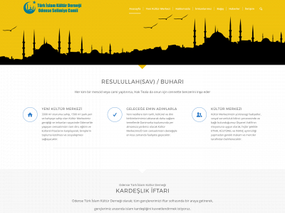 selimiye.dk snapshot