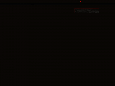 bloodbrothersracing.com snapshot