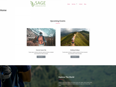 sagecounselingsolutions.com snapshot
