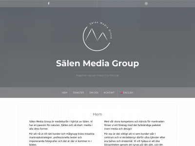 salenmedia.com snapshot