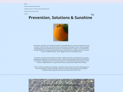 preventionsolutionsandsunshine.co.uk snapshot