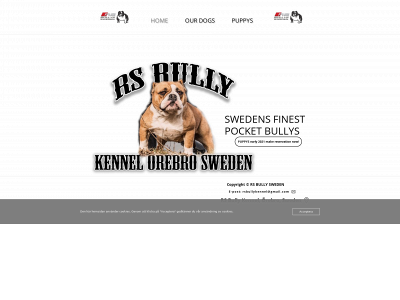 rsbully.se snapshot