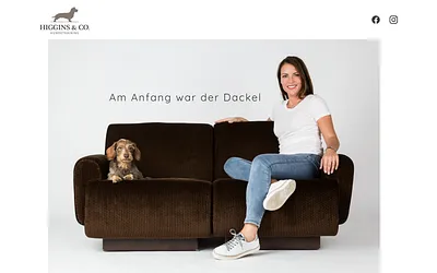 higginsundco.de snapshot