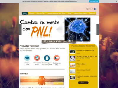 vivirconpnl.com snapshot