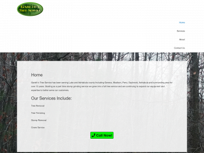 garethstreeservice.com snapshot