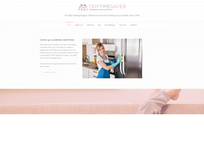 tidytimesaver.com snapshot